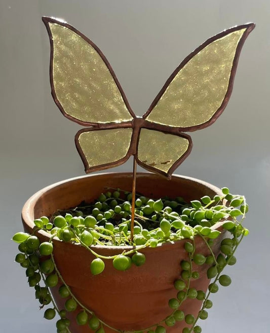 3D Butterfly