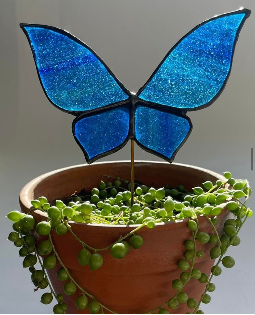 3D Butterfly