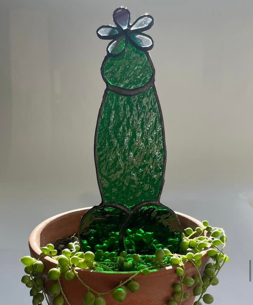 Cocktus Plant Stakes